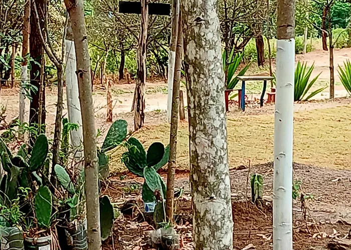 Camping Avohai