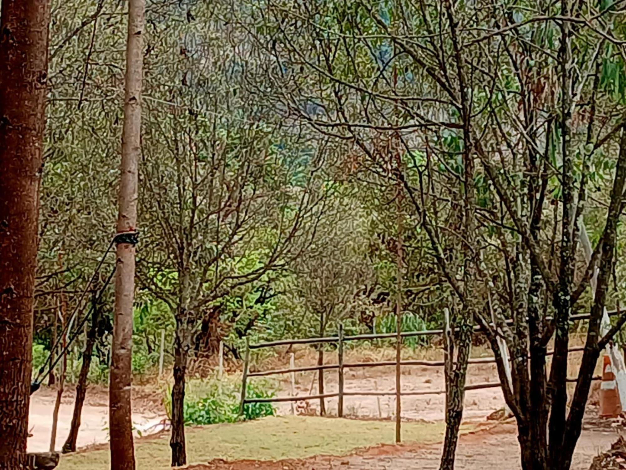 Avohai Campsite Sao Tome das Letras